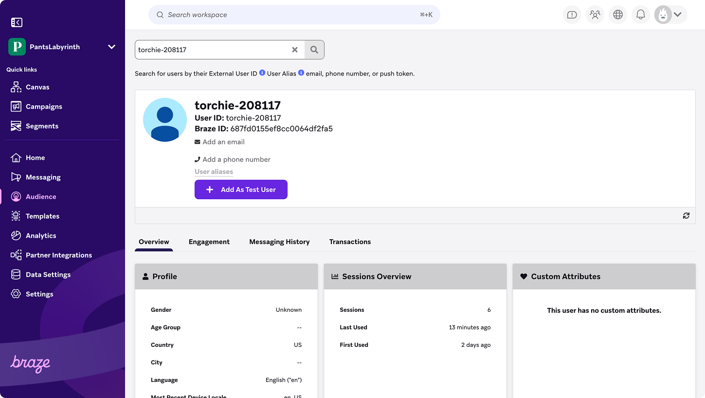 ユーザー "torchie-208117 "のBrazeユーザープロファイルの例。
