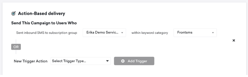 最初のWebhookキャンペーンの「配信スケジュール」ページ。