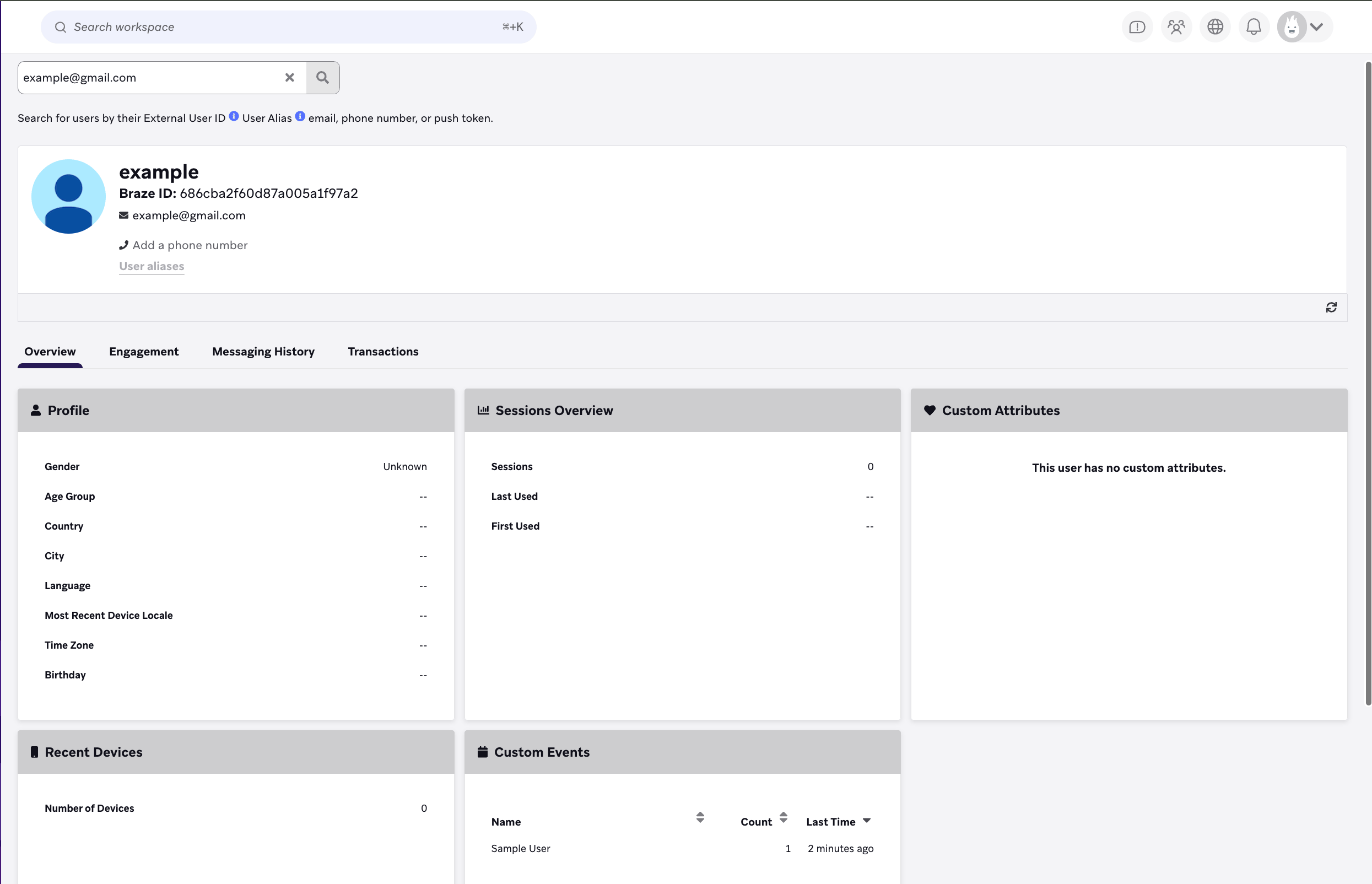 Brazeでユーザープロファイルとアクティビティ概要を表示する。