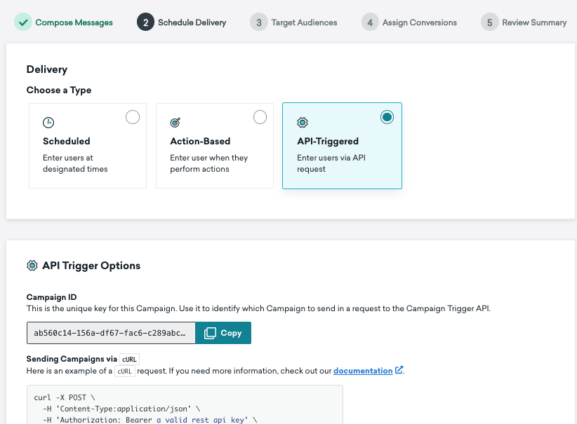 APIトリガーキャンペーン。